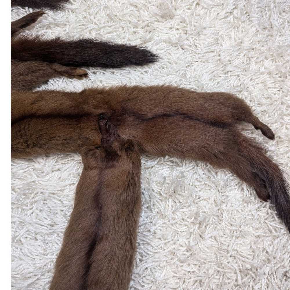 Vintage Mink Fur Stole Wrap - image 5