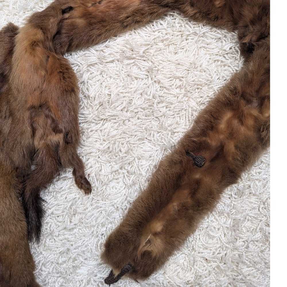 Vintage Mink Fur Stole Wrap - image 8