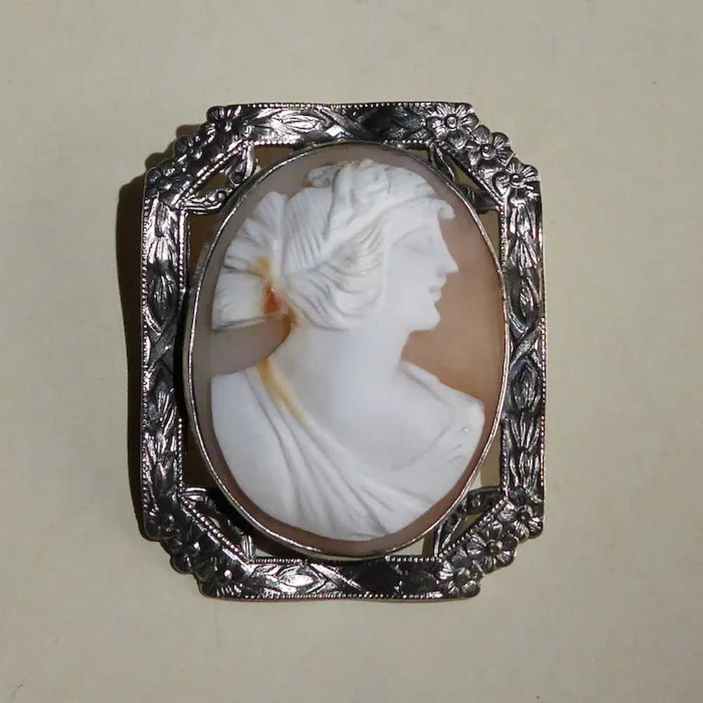 Carnelian Shell Cameo Pin Sterling Frame - image 11