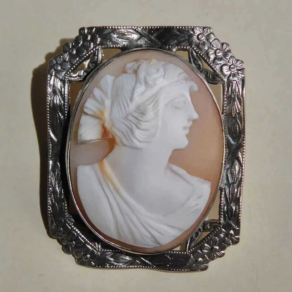 Carnelian Shell Cameo Pin Sterling Frame - image 12