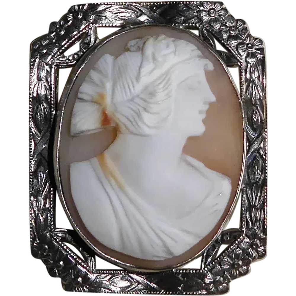 Carnelian Shell Cameo Pin Sterling Frame - image 1