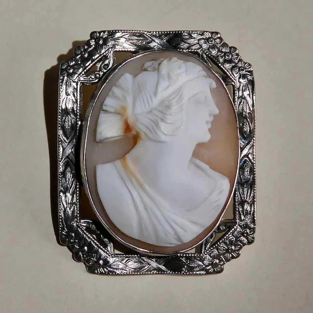 Carnelian Shell Cameo Pin Sterling Frame - image 4