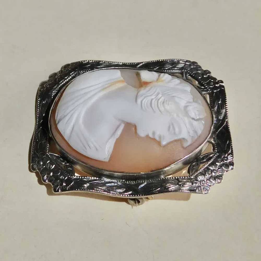 Carnelian Shell Cameo Pin Sterling Frame - image 6