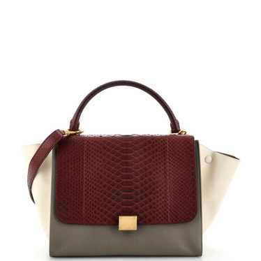 CELINE Trapeze Bag Python Medium - image 1