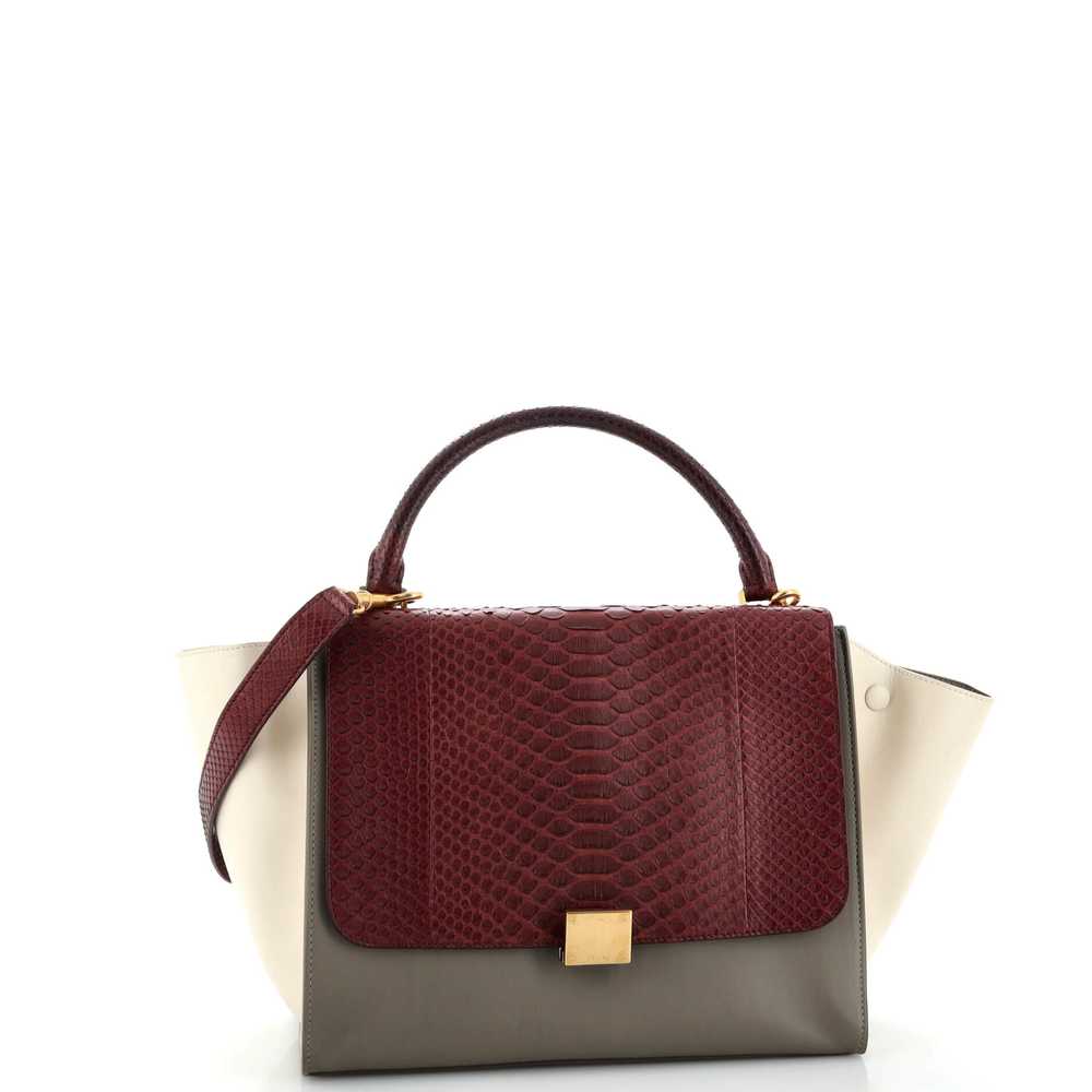 CELINE Trapeze Bag Python Medium - image 2