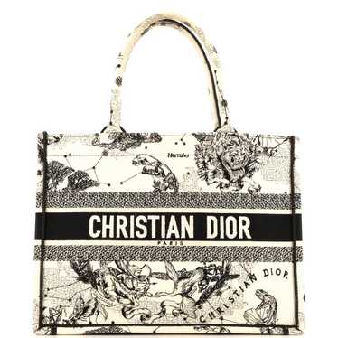 Christian Dior Cloth tote