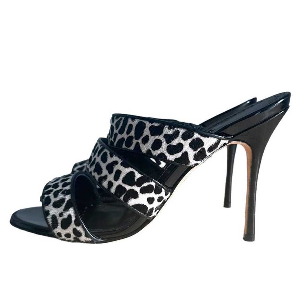 Manolo Blahnik Pony-style calfskin heels - image 2