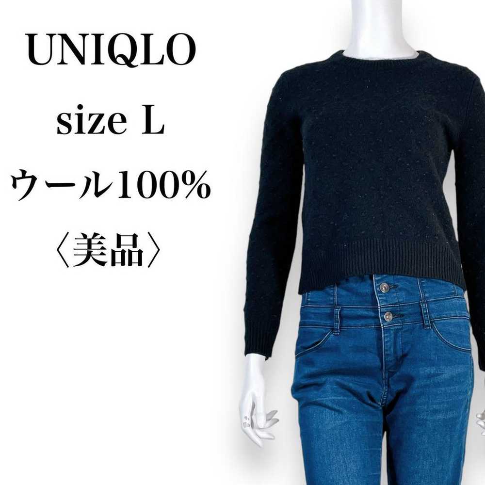 【Excellent condition】UNIQLO Crewneck 100% Wool Kn… - image 1