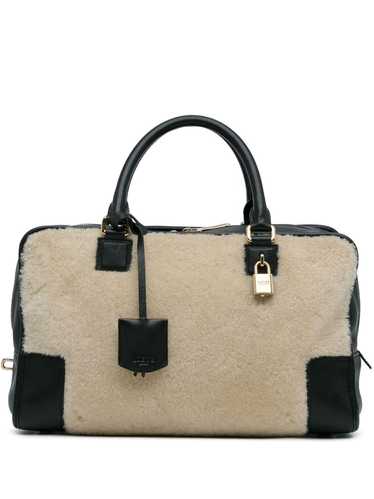 Loewe Pre-Owned 2013 Shearling Amazona 36 handbag 