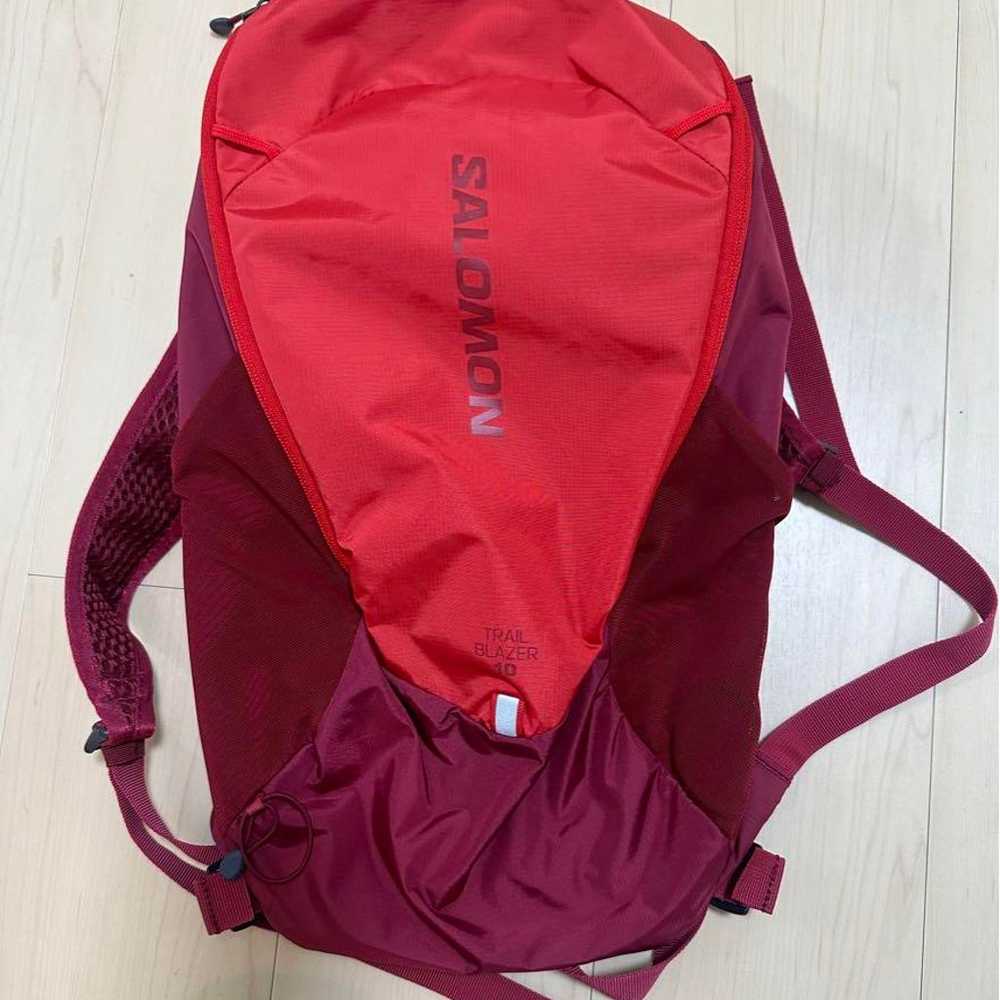 Weekend SALE ★ Excellent condition Salomon backpa… - image 2