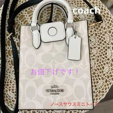 coach North South Mini Tote