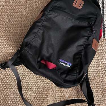 Patagonia Limited Edition Ironwood 20L Backpack