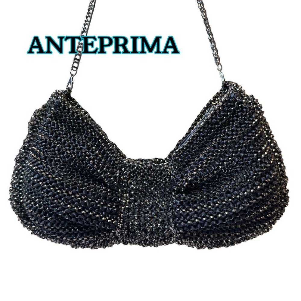 ANTEPRIMA Anteprima Ribbon Wire Bag Chain Black - image 1