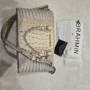 Brahmin Mini Asher