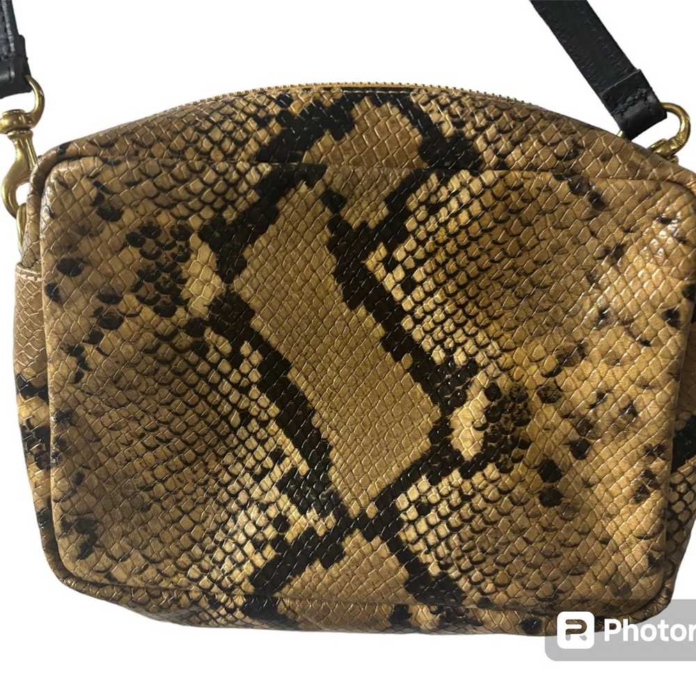 Clare V. Midi Sac in Tan Snake - image 2