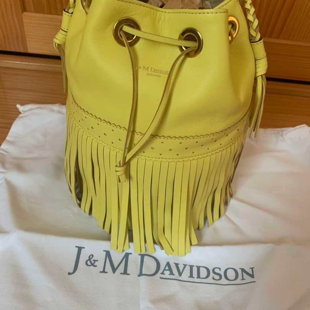 J&M DAVIDSON Carnival - image 2