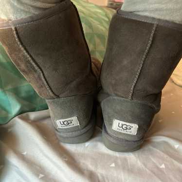 Ugg australia classic grey