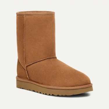 UGG Chestnut Boots