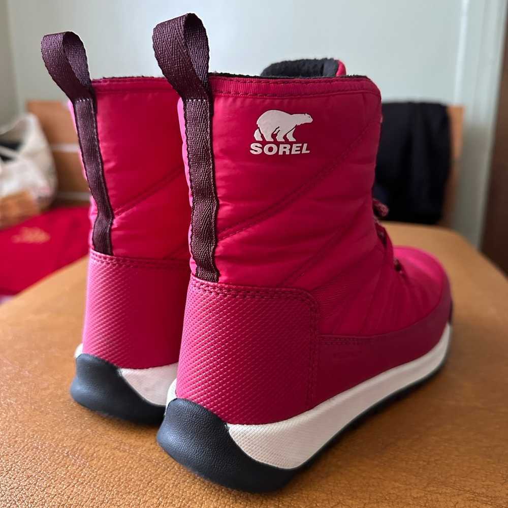 Sorel pink boots - image 2