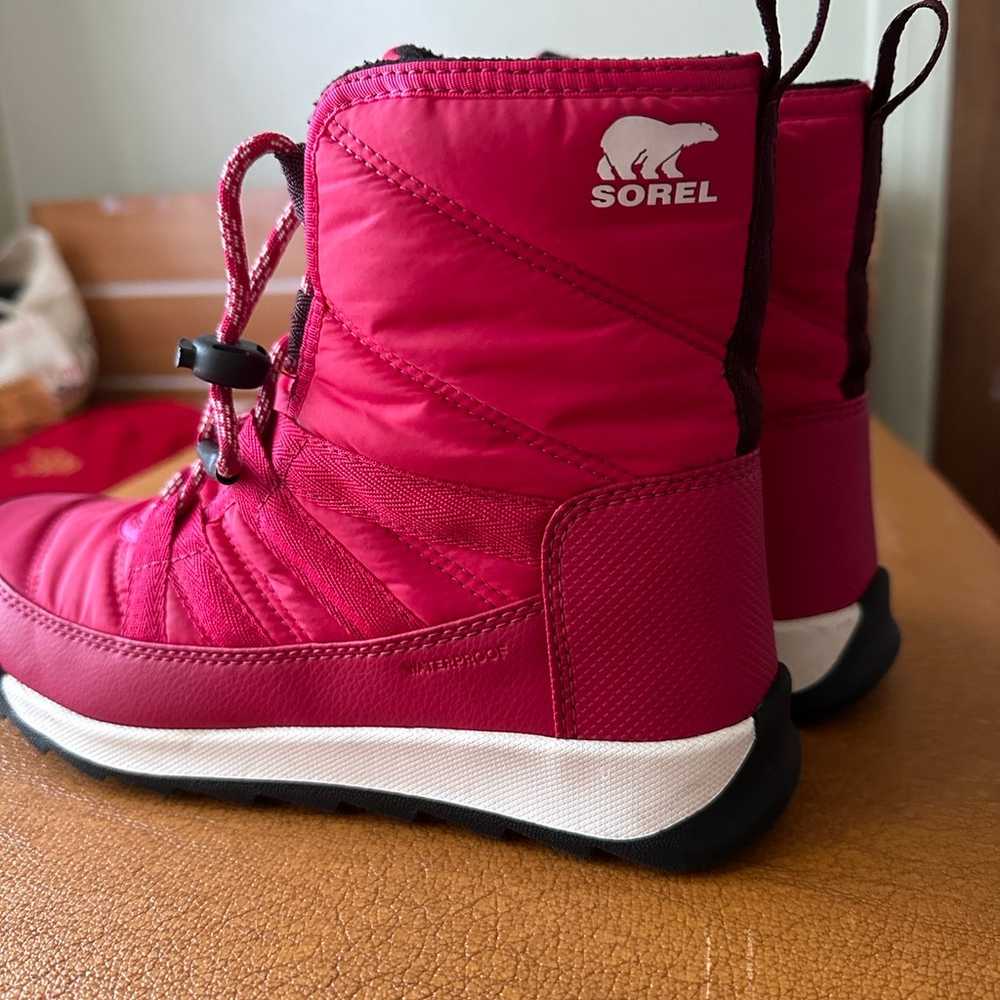 Sorel pink boots - image 3