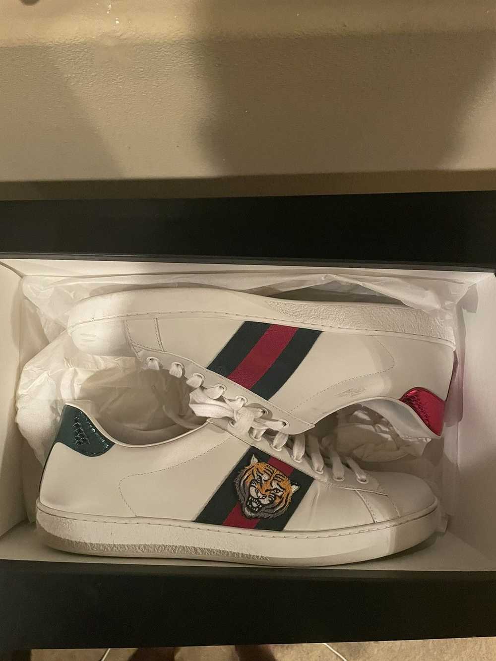 Gucci Gucci Tiger Ace - image 1