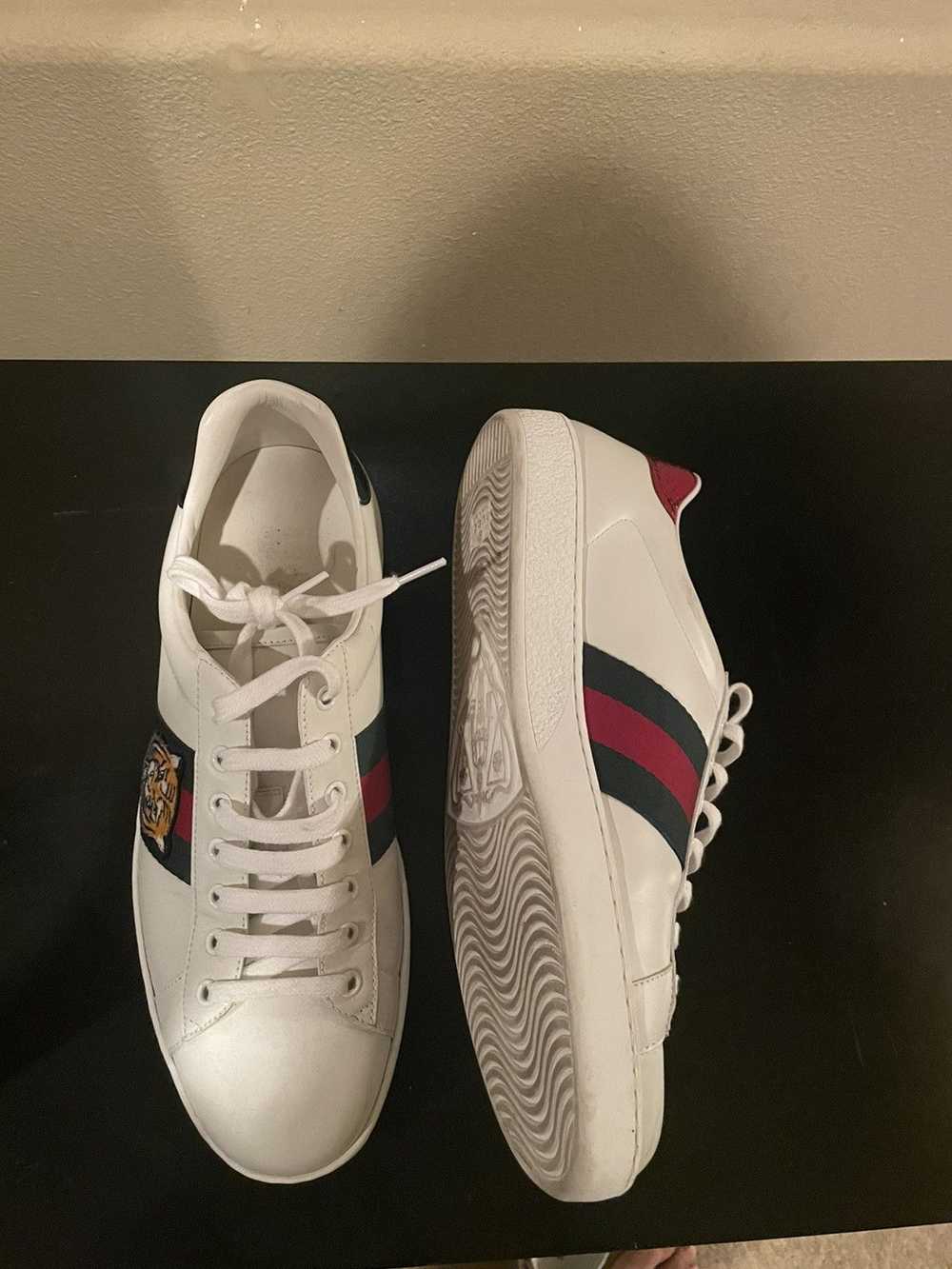 Gucci Gucci Tiger Ace - image 3