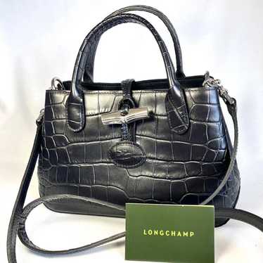 Unused Class ✨ Longchamp Handbag Shoulder Bag 2Way