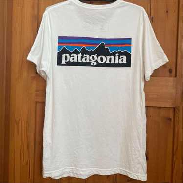 Patagonia short-sleeve.