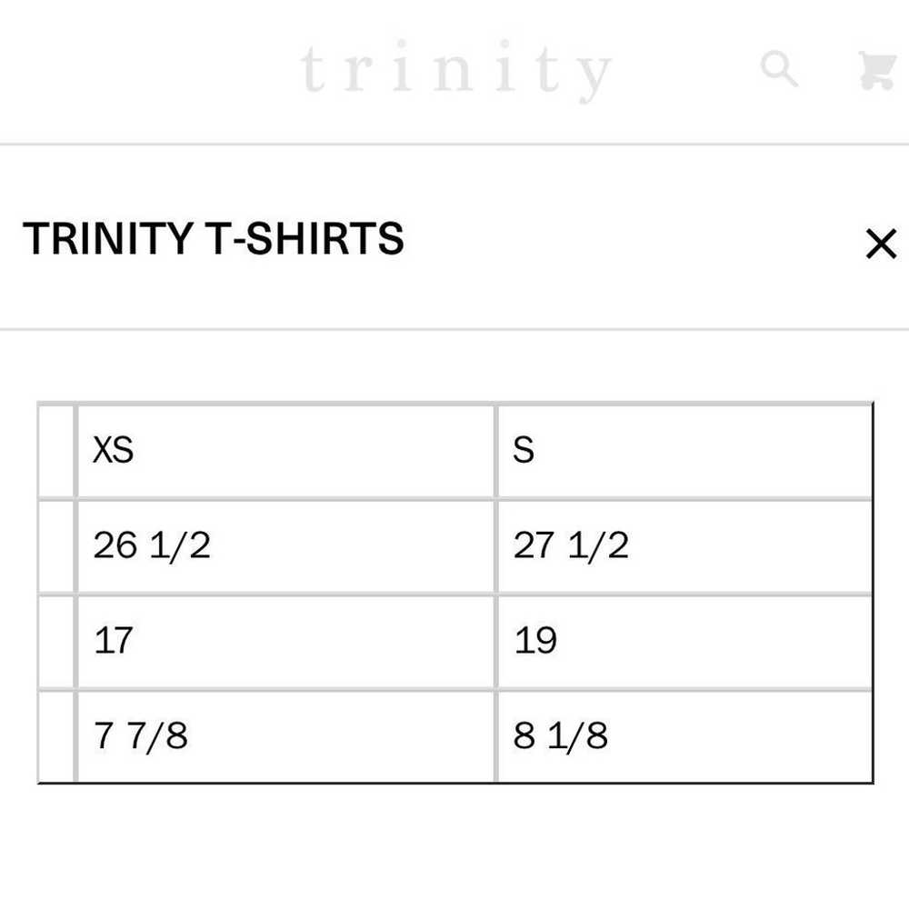 Trinity DISTRESSED TYSON T-shirt - VINTAGE BLACK - image 10