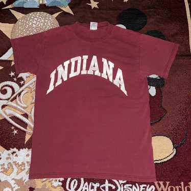 Vintage 90s Indiana Collegiate Tshirt - image 1