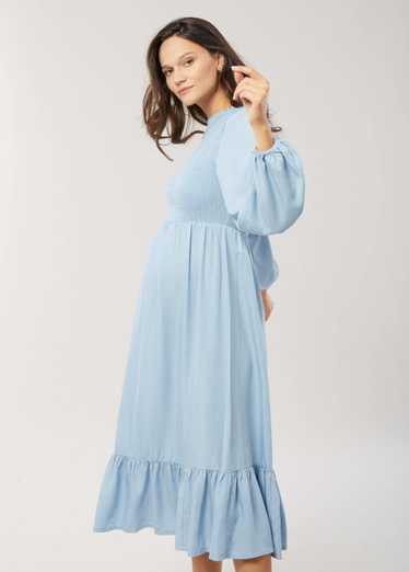 Ingrid+Isabel Meadow Chambray Maternity Dress