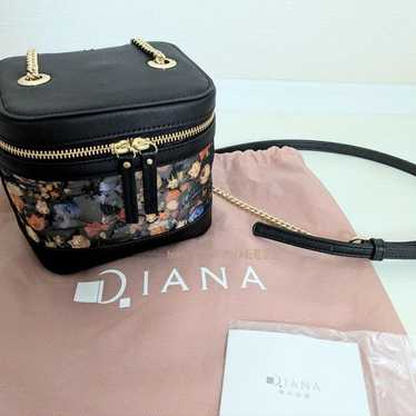 【Excellent Condition】DIANA Diana Painting Series B