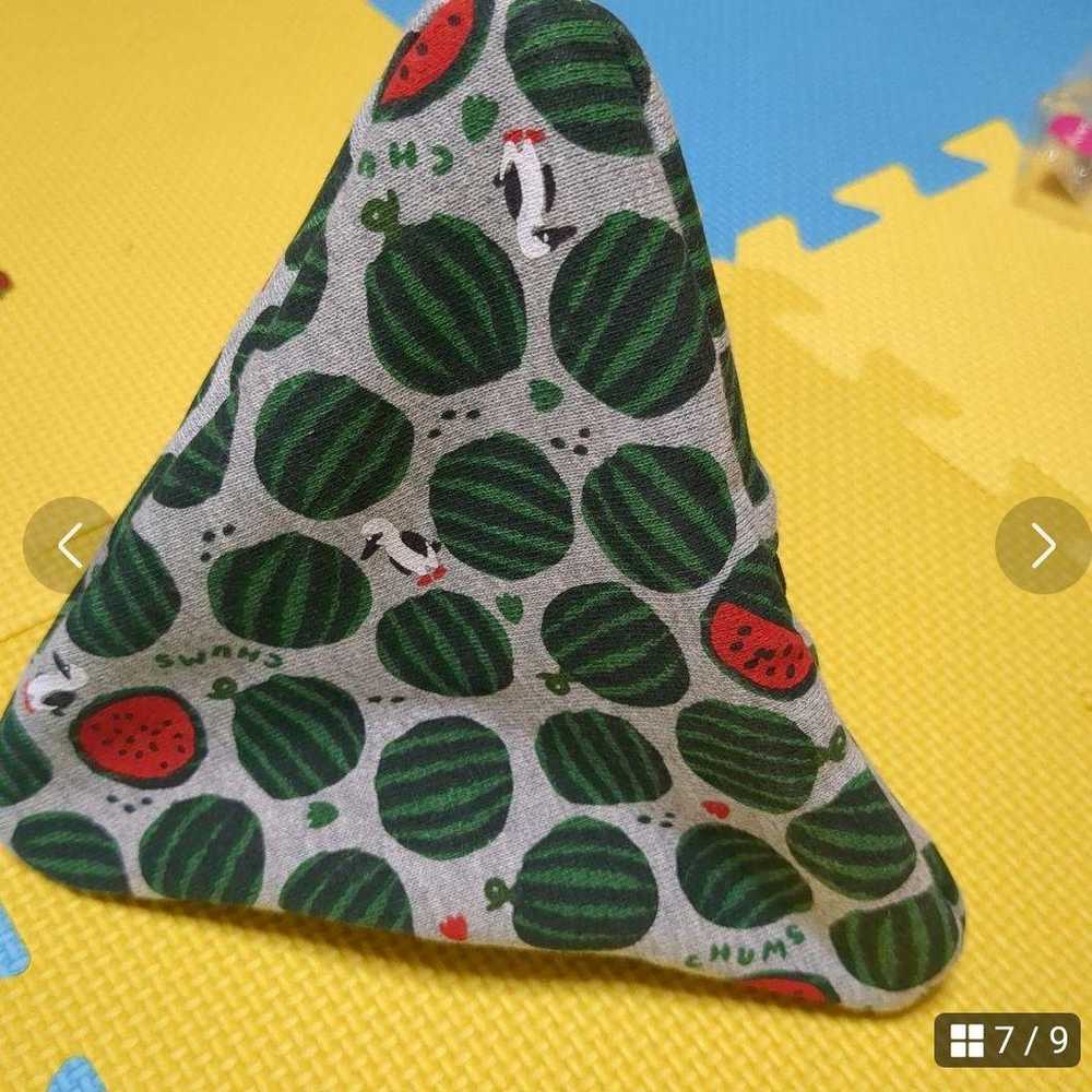 Chums watermelon triangular pouch - image 11