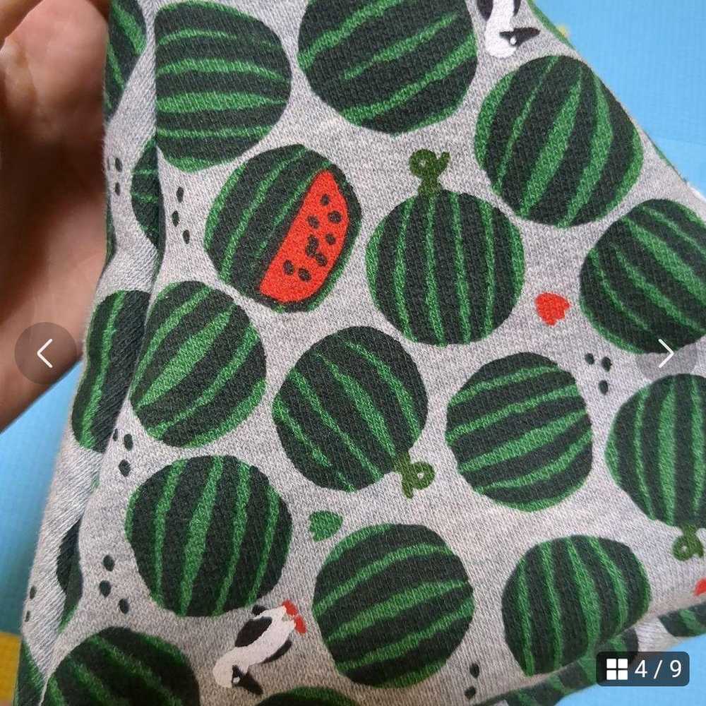 Chums watermelon triangular pouch - image 8