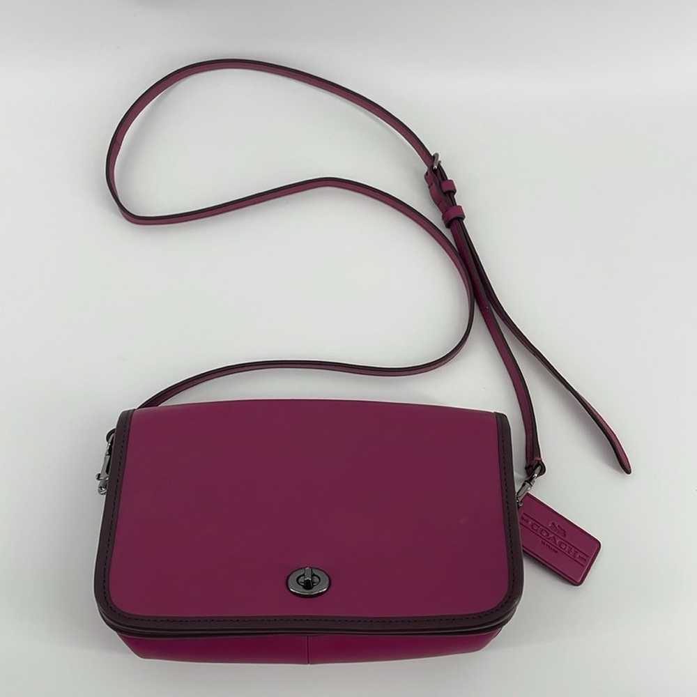 Coach 75th Anniversary Penny Crossbody Bag in Pin… - image 1