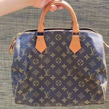 Louis Vuitton speedy 30