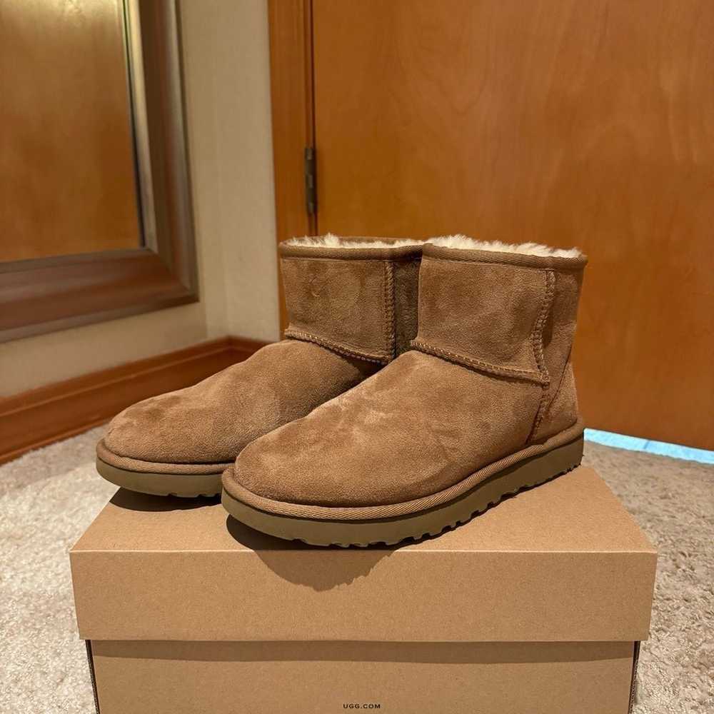 mini uggs size 8 - image 1