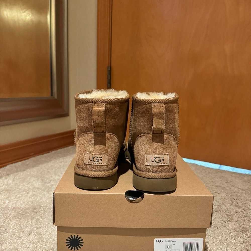 mini uggs size 8 - image 2