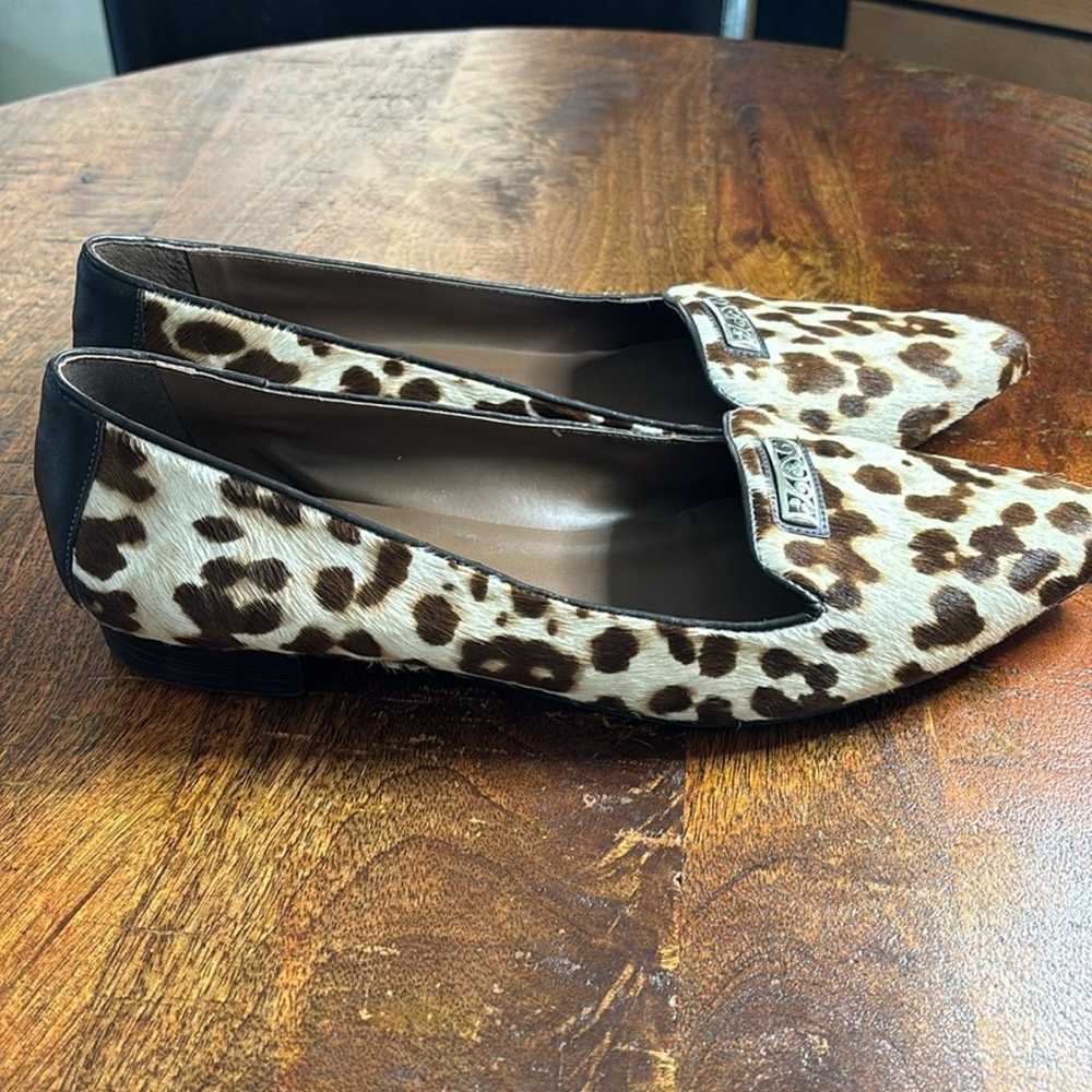 NWOT Brighton Eve Leopard Print Calf Hair Flats - image 7