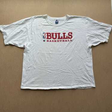 Champion Vintage 80s 90s Chicago Bulls Champion G… - image 1