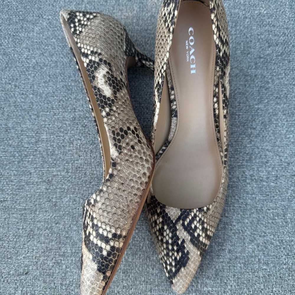 Coach Snake Skin Heels - image 2