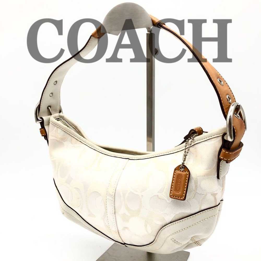 Coach accessory pouch one-shoulder, Fairy Grunge. - image 1