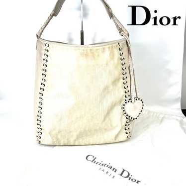 Authentic Rare Dior Trotter Shoulder Bag