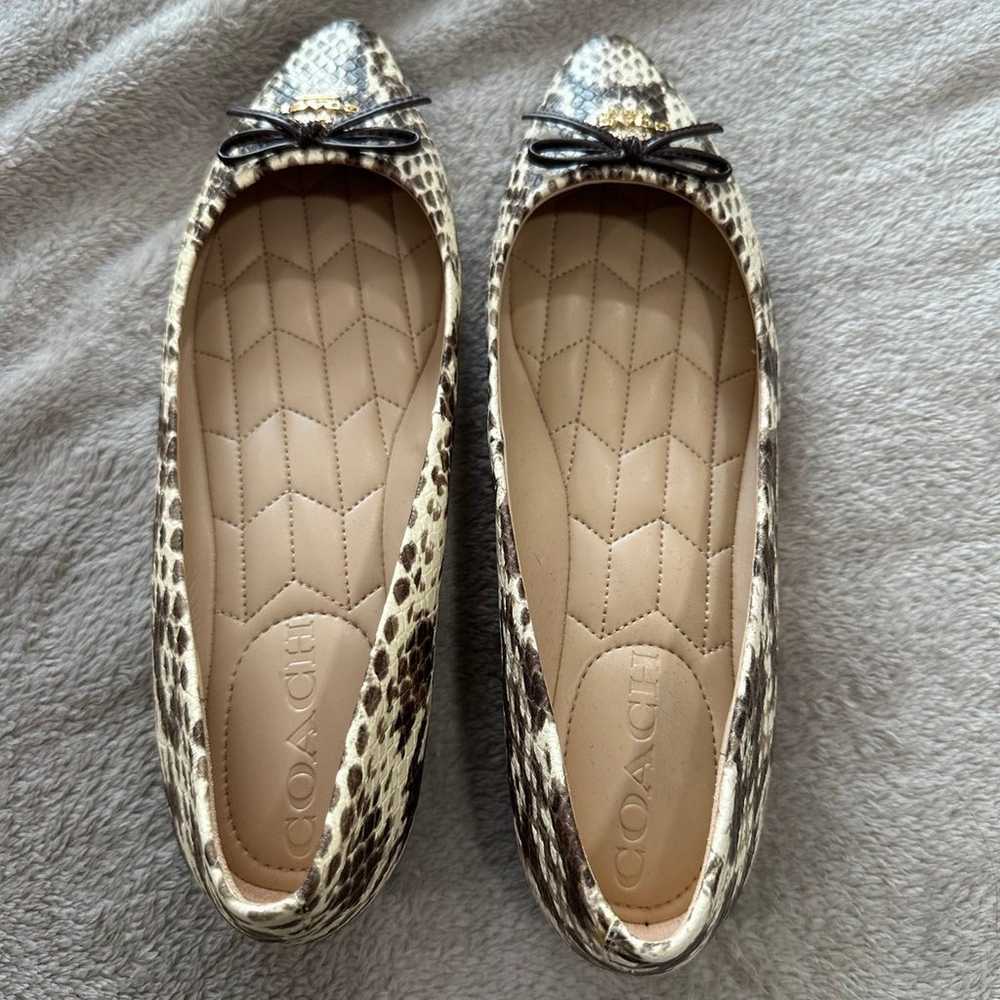 Coach pointy Flats Size 6 - image 3