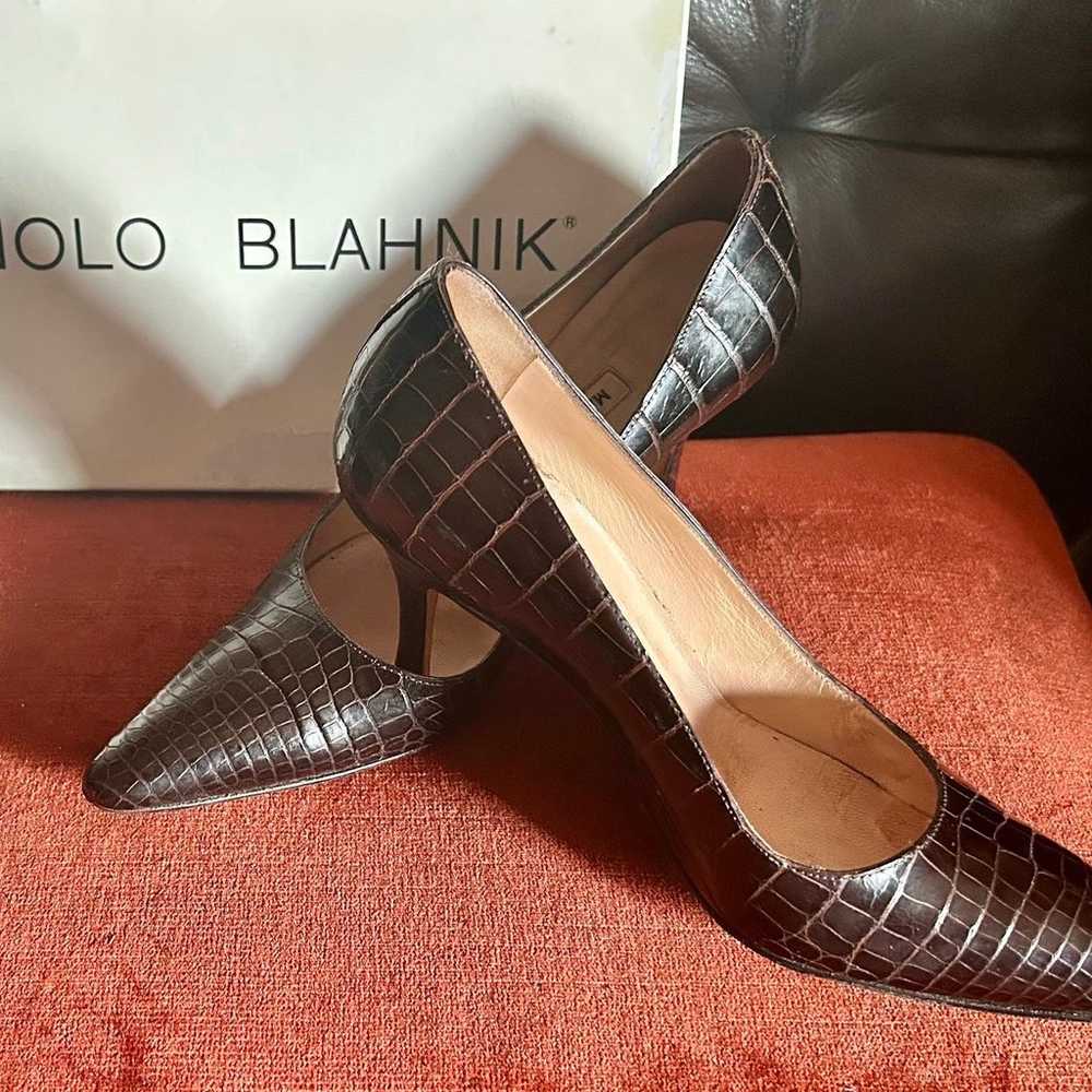 Manolo Blahnik - Dark Brown Alligator Pointed Toe… - image 2