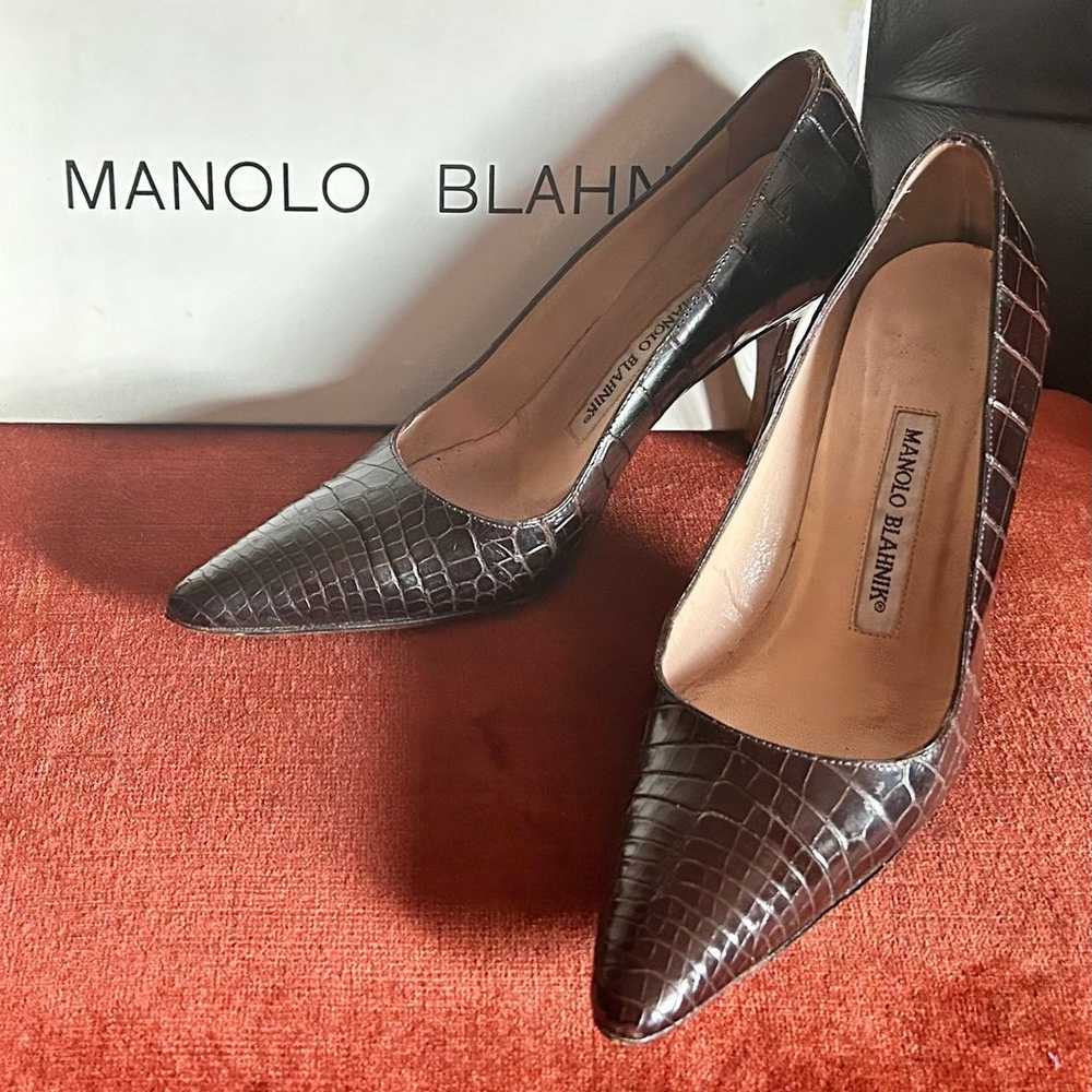 Manolo Blahnik - Dark Brown Alligator Pointed Toe… - image 4