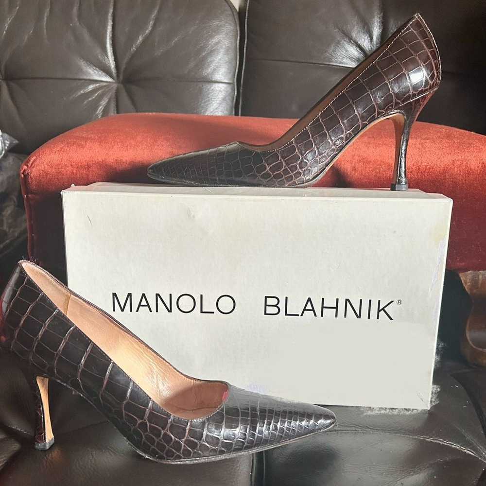 Manolo Blahnik - Dark Brown Alligator Pointed Toe… - image 5