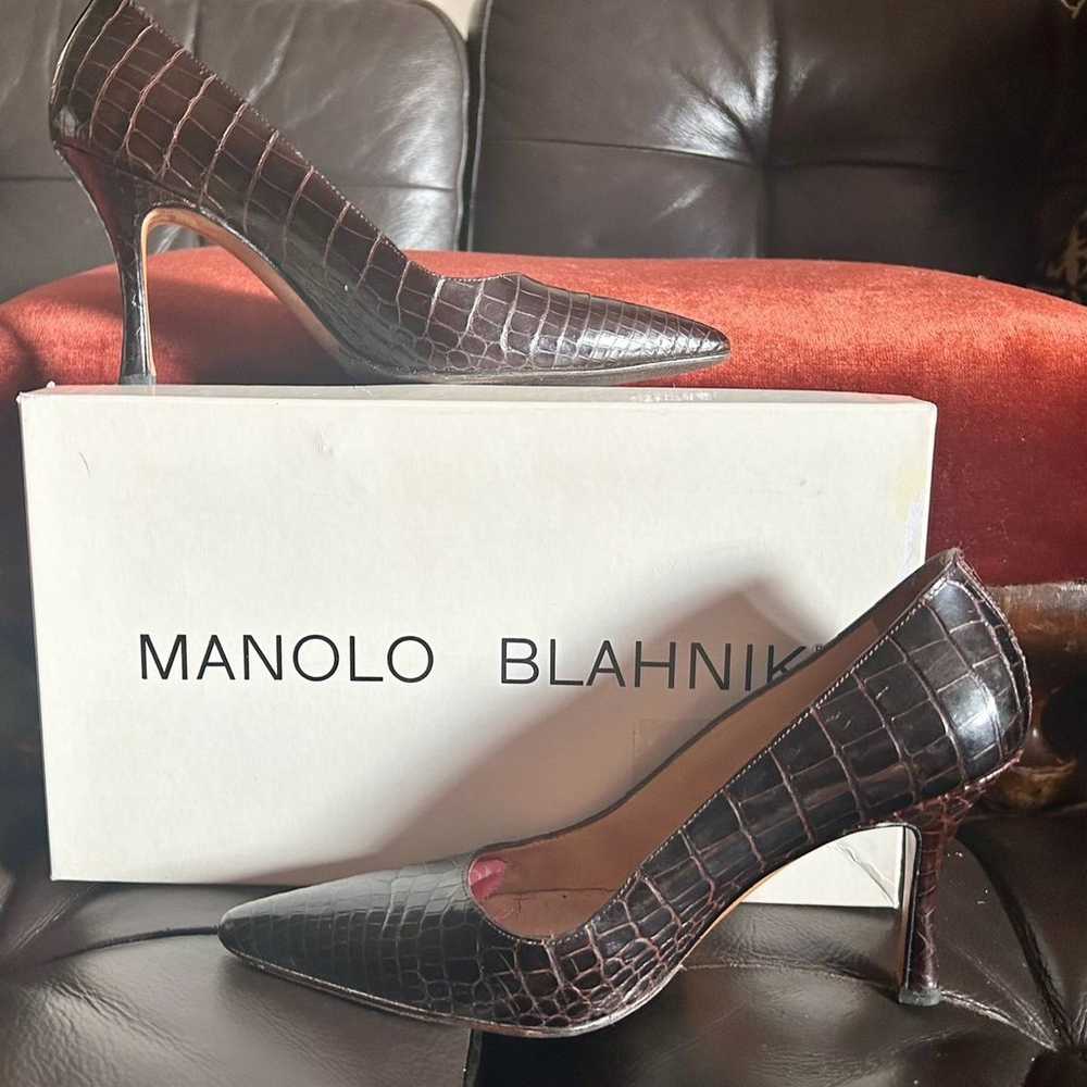 Manolo Blahnik - Dark Brown Alligator Pointed Toe… - image 6