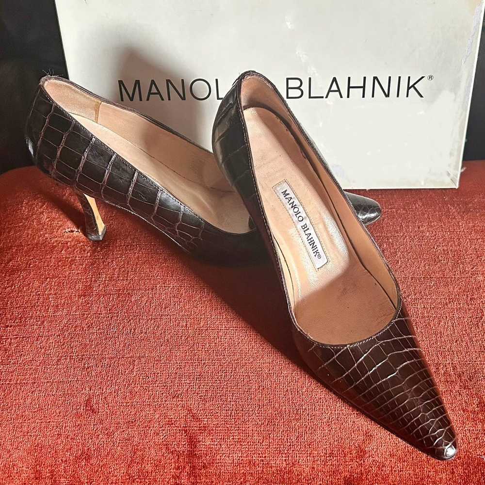 Manolo Blahnik - Dark Brown Alligator Pointed Toe… - image 7