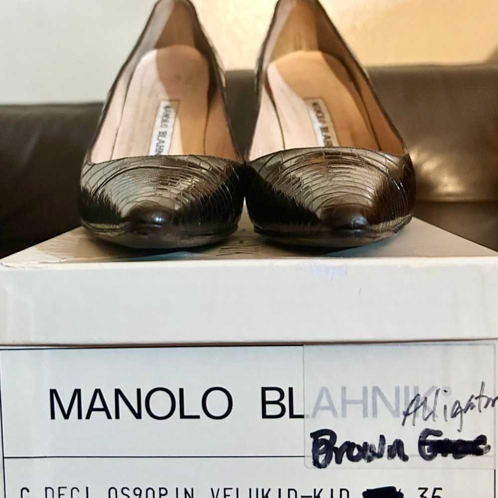 Manolo Blahnik - Dark Brown Alligator Pointed Toe… - image 8